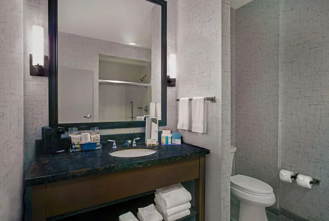 استوديو بسرير كينج مع أريكة لذوي الإعاقة، Hampton Inn & Suites Austin At The University / Capitol 1/1