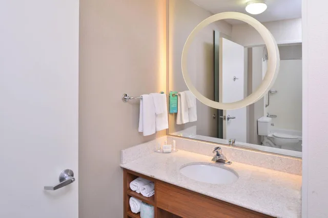 جناح استوديو بسرير كينج مع أريكة بحوض استحمام لذوي الإعاقة، Springhill Suites By Marriott 3/6