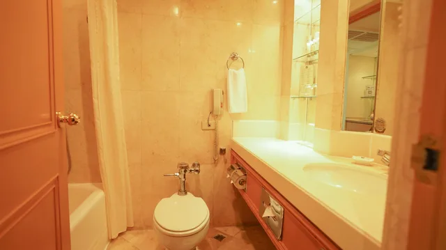 جناح جونيور بسرير كينج، The Heritage Hotel Manila 7/7