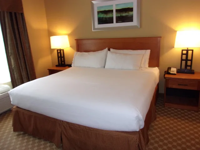 جناح بغرفة نوم واحدة مع أريكة لذوي الإعاقة، Holiday Inn Express Suites Chicago West Roselle 1/1