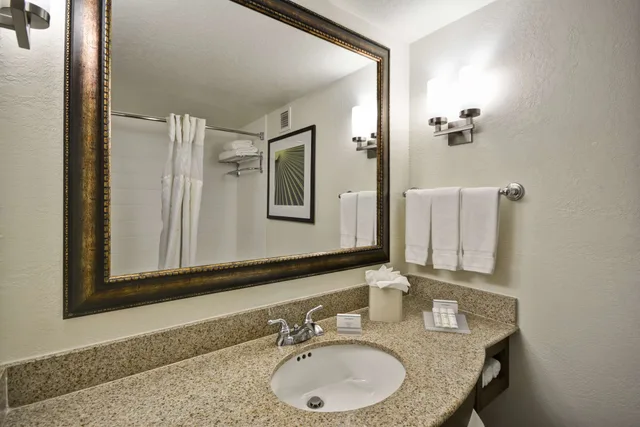 جناح بسرير كينج بغرفة نوم واحدة، Hilton Garden Inn Sarasota-Bradenton Airport 3/4