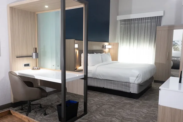جناح بسرير كينج مع أريكة، Springhill Suites By Marriott Dallas Mckinney/Allen 2/4