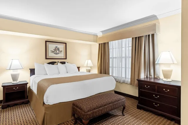 جناح بسرير كينج بحوض جاكوزي، Best Western Forest Inn 1/3