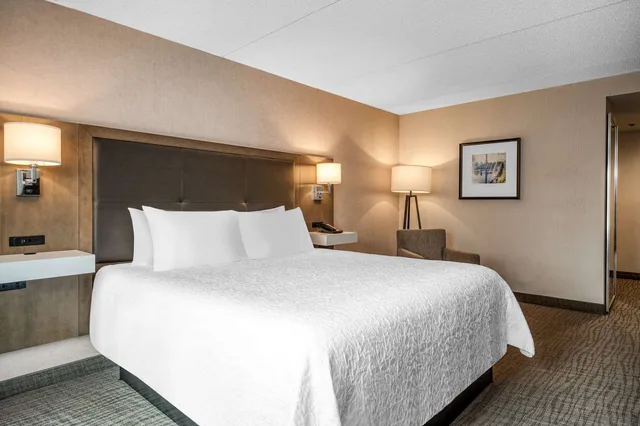 جناح بسرير كينج بغرفة نوم واحدة مع أريكة، Hampton Inn Raynham Taunton Ma 2/3