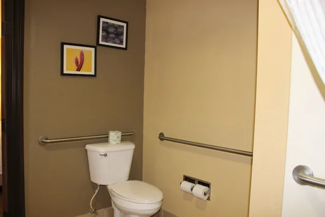 غرفة بسرير كينج لذوي الإعاقة، Comfort Inn Green Valley 6/7