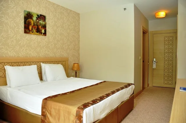 غرفة بسرير مزدوج لذوي الإعاقة، Eldar Resort Hotel 1/10