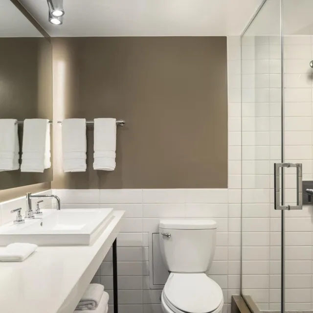 غرفة بسريرين مزدوجين بإطلالة على المدينة، Le Meridien New Orleans 5/9