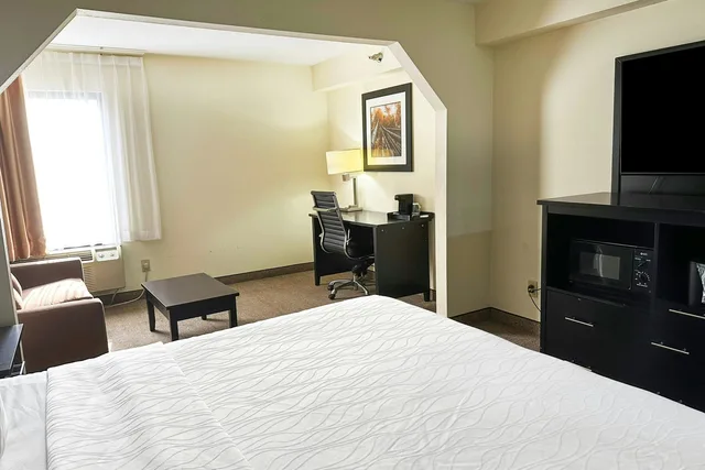 جناح بسرير كينج، OYO Hotel Rome West GA 4/7