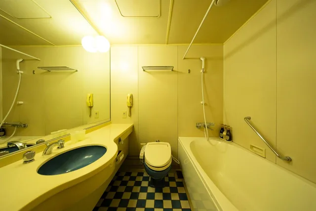 Moderate, Queen Bed, Smoking، Hotel Clio Court Hakata 4/4