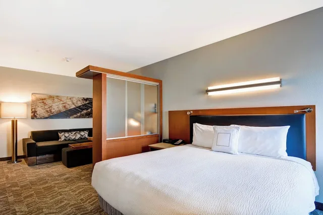 جناح بسرير كينج مع سرير سحّاب إضافي لذوي الإعاقة، Springhill Suites By Marriott Denver Anschutz Medical Campus 3/8