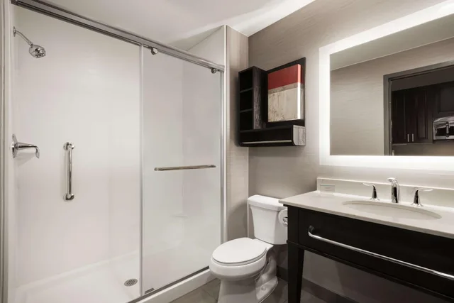 جناح بسرير كينج بغرفة نوم واحدة مع أريكة، Homewood Suites By Hilton Milwaukee-Downtown 6/10