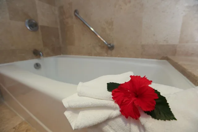 غرفة ديلوكس، Azul Ixtapa Beach Resort Convention Center 10/10