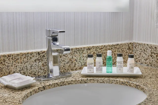 جناح بغرفة نوم واحدة، Delta Hotels by Marriott Detroit Novi 8/8