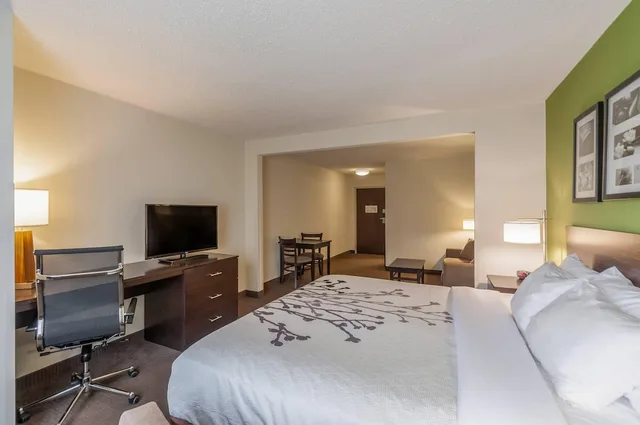 جناح بسرير كينج مع أريكة، Sleep Inn and Suites Harrisonburg Near University 4/6