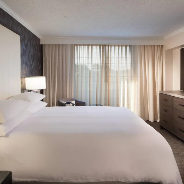 Bi Level, Suite, King Bed, Sofa، Omaha Marriott 1/3