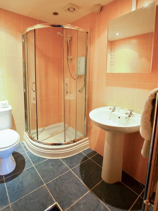 غرفة قياسية مفردة، OYO Lamphey Hall Hotel 6/7