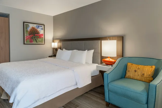 استوديو بسرير كينج لذوي الإعاقة، Hampton Inn La Crosse-Onalaska 3/7