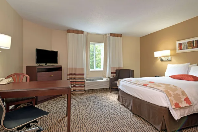 غرفة قياسية بسرير كوين، MainStay Suites Northbrook Wheeling 3/4