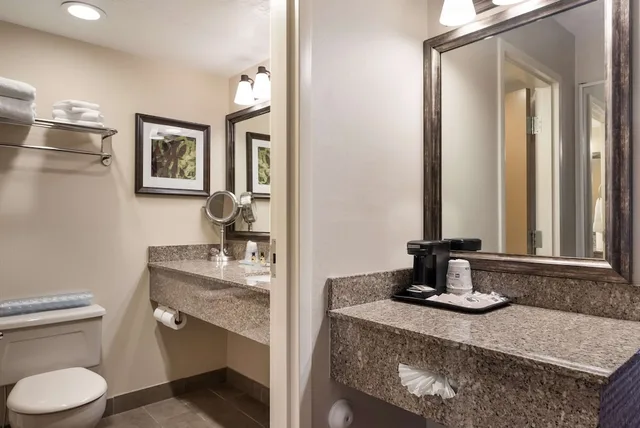 Standard, King Bed, Accessible, Best Western Plus Cedar City 5/5