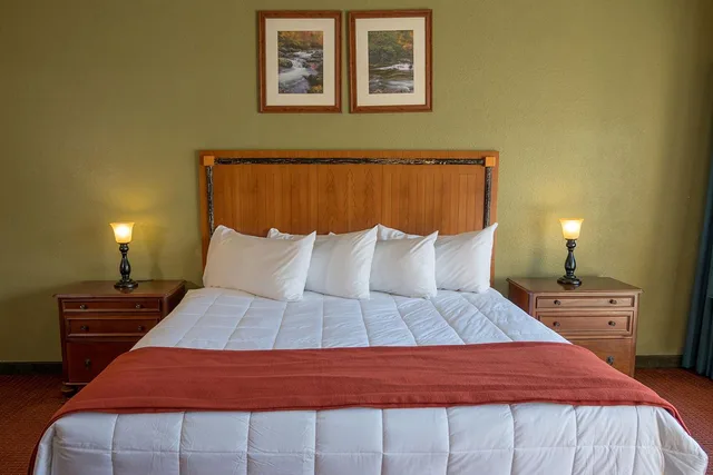 غرفة قياسية بسرير كينج، River Terrace Resort & Convention Center 1/1