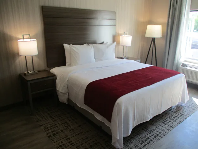 غرفة قياسية بسرير كينج لذوي الإعاقة، Best Western Plus At La Crescent Event Center 3/7