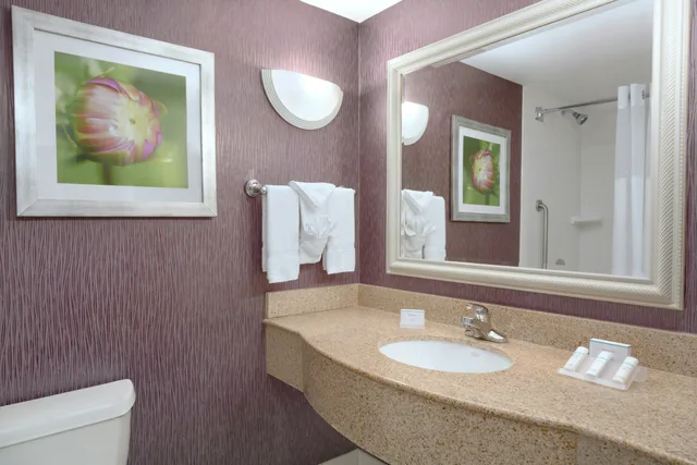 غرفة بسرير كينج، Hilton Garden Inn-Springfield Ma 3/4