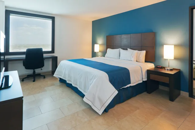 Standard, Single Bed, Holiday Inn Express Merida 2/6