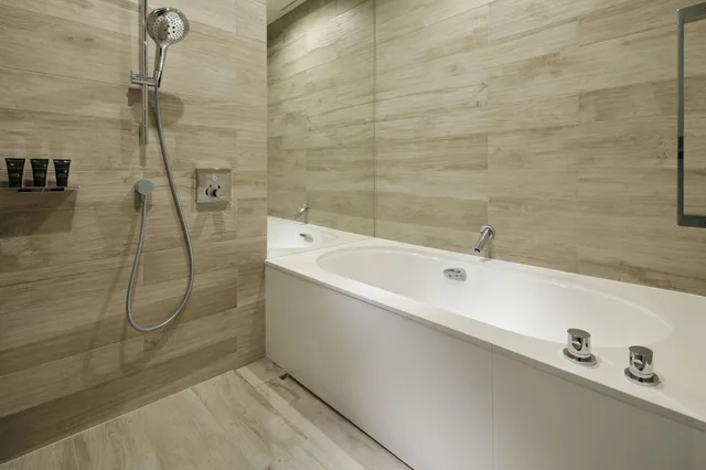 Room, King Bed, Hyatt Centric Ginza Tokyo 3/3