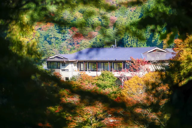 Japanese, 3 Futon Beds, Valley Side, Tatami، Momiji Ya Honkan Takaosansou 1/1