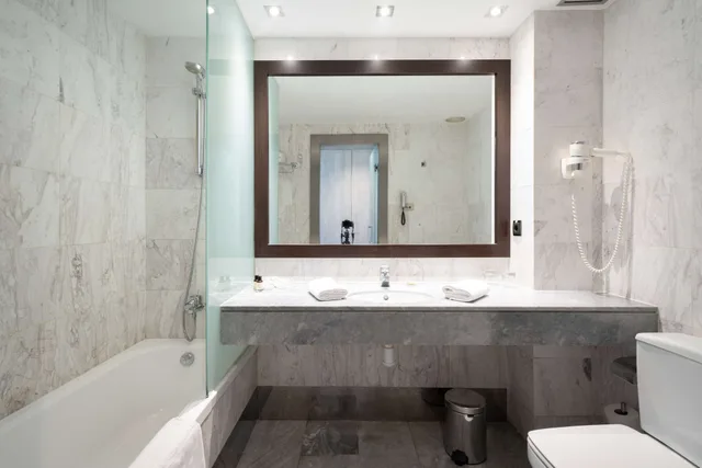 Double Premium Single Use، CATALONIA GRAN HOTEL VERDI 5/8