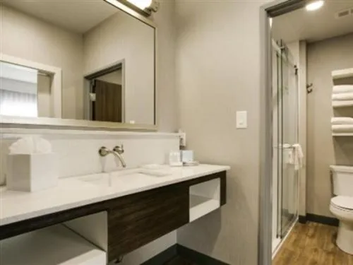 غرفة بسريرين كوين بحوض استحمام لذوي الإعاقة، Hampton Inn Suites Dallas Ft Worth Airport South Tx 2/2