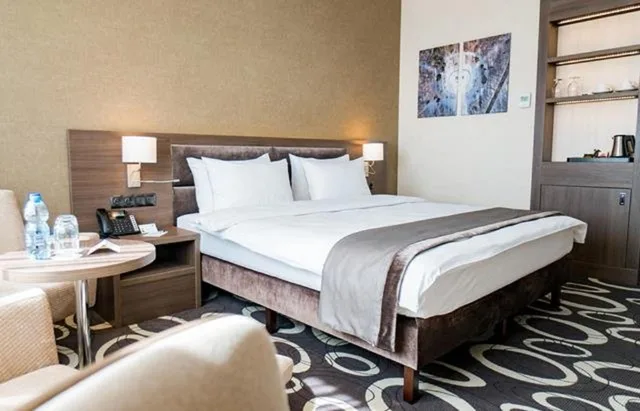 غرفة بريميوم بسرير فردي، HOLIDAY INN DABROWA GORNICZA 5/8