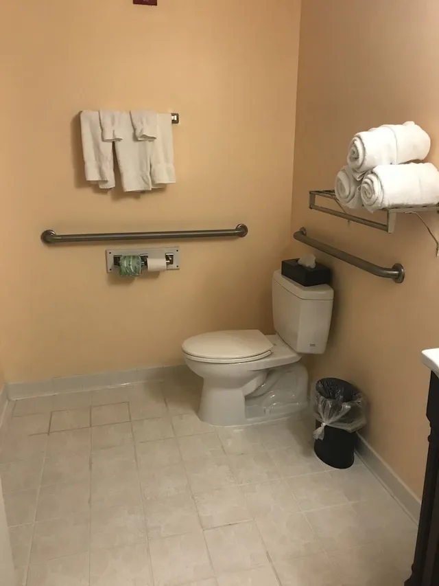 جناح بسرير كوين مع أريكة لذوي الإعاقة، Best Western Plus Brunswick Bath 8/8