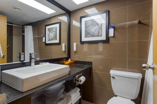 Room, Queen Bed, Pet Friendly, Village Park Inn Calgary 6/7
