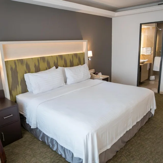Suite, King Bed, Bath and Shower، Holiday Inn Queretaro Zona Diamante 1/6