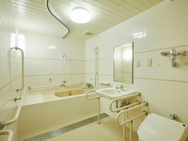 غرفة بحمام خاص لذوي الإعاقة، Kamenoi Hotel Shiobara (ex Kanponoyado Shiobara) 4/4