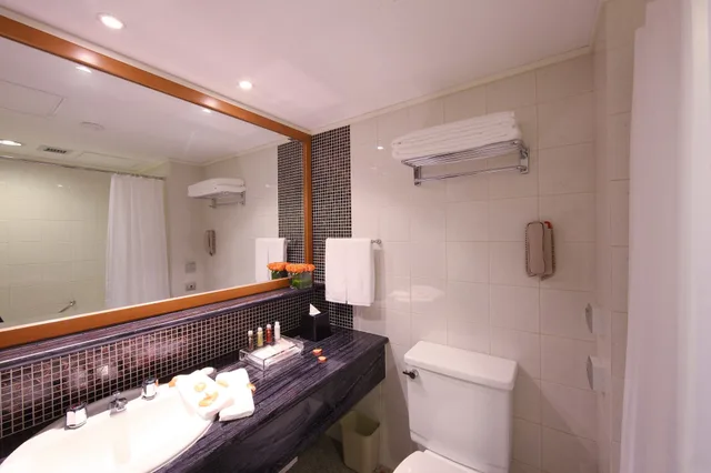 Deluxe, King Bed, City Murphy Bed, City View، Xi’an Dajing Castle Hotel 6/6