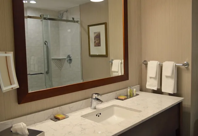 Premium, King Bed, Falls View, Bathtub، DoubleTree Fallsview Resort & Spa by Hilton - Niagara Falls 5/7
