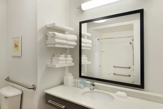 Room, King Bed, Accessible, Hampton Inn Suites Deland 10/10