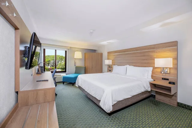 غرفة قياسية بسرير كينج لذوي الإعاقة، Holiday Inn Express San Jose Costa Rica Airport 2/10