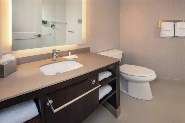 استوديو بسرير كينج مع أريكة لذوي الإعاقة، Residence Inn Fulton at Maple Lawn 1/4