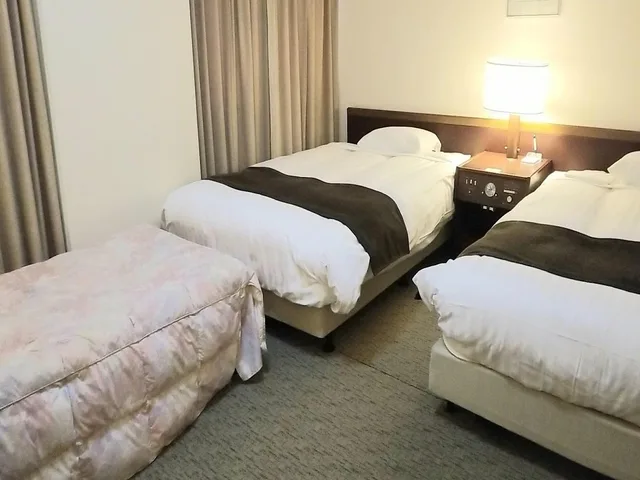 غرفة ديلوكس ثلاثية بسريرين منفصلين مع سرير إضافي، Hotel Grand Terrace Toyama 2/2