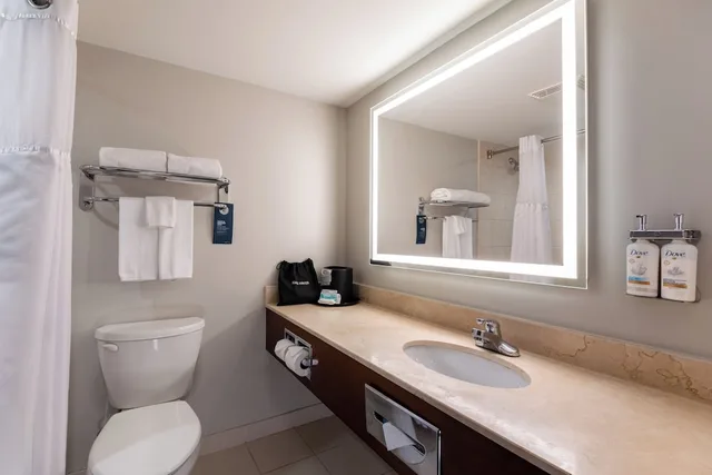 جناح بسرير كينج مع أريكة، Holiday Inn Hotel And Suites London 6/7