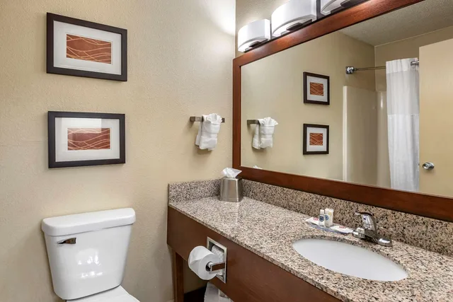 جناح بسرير كينج، Comfort Inn Moline - Quad Cities 3/3