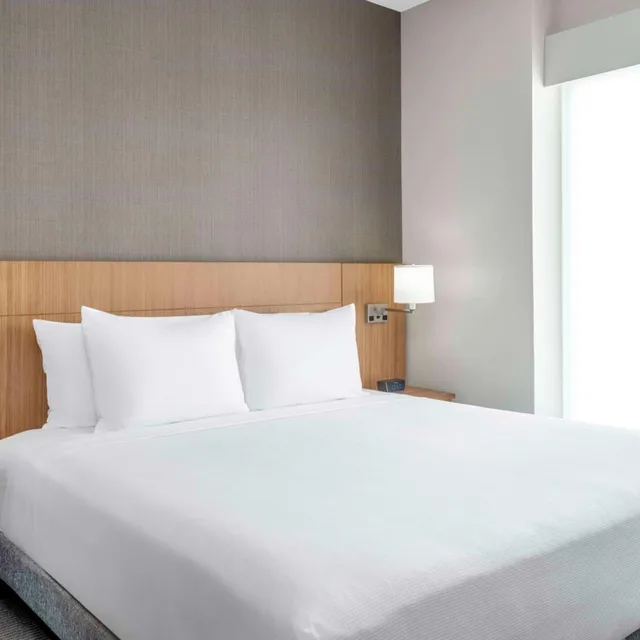 غرفة قياسية بسرير كينج مع أريكة، Hyatt Place Fort Worth-Alliance Town Center 1/3