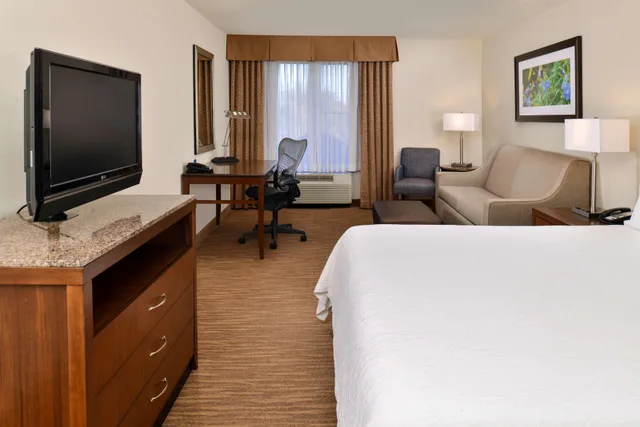 غرفة ديلوكس بسرير كينج مع أريكة بحوض جاكوزي، Hilton Garden Inn Dallas/Addison 3/3