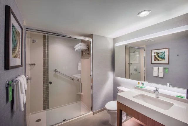 غرفة بسرير كينج، Hyatt Place East Moline/Quad Cities 5/5