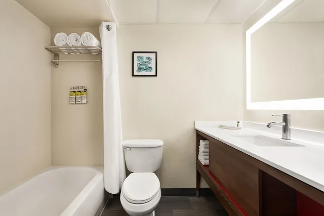 غرفة قياسية بسرير كوين، Holiday Inn Florence 2/2
