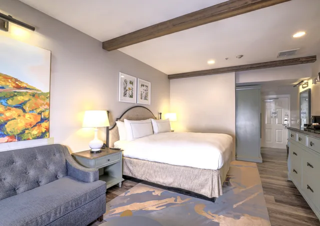 Room, Double Bed, Accessible, The Lodge at Healdsburg, tapestry Collection by Hilton 2/6