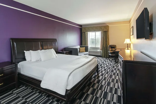 غرفة بسرير كينج لذوي الإعاقة، La Quinta Inn and Suites by Wyndham Alamo - McAllen East 1/6